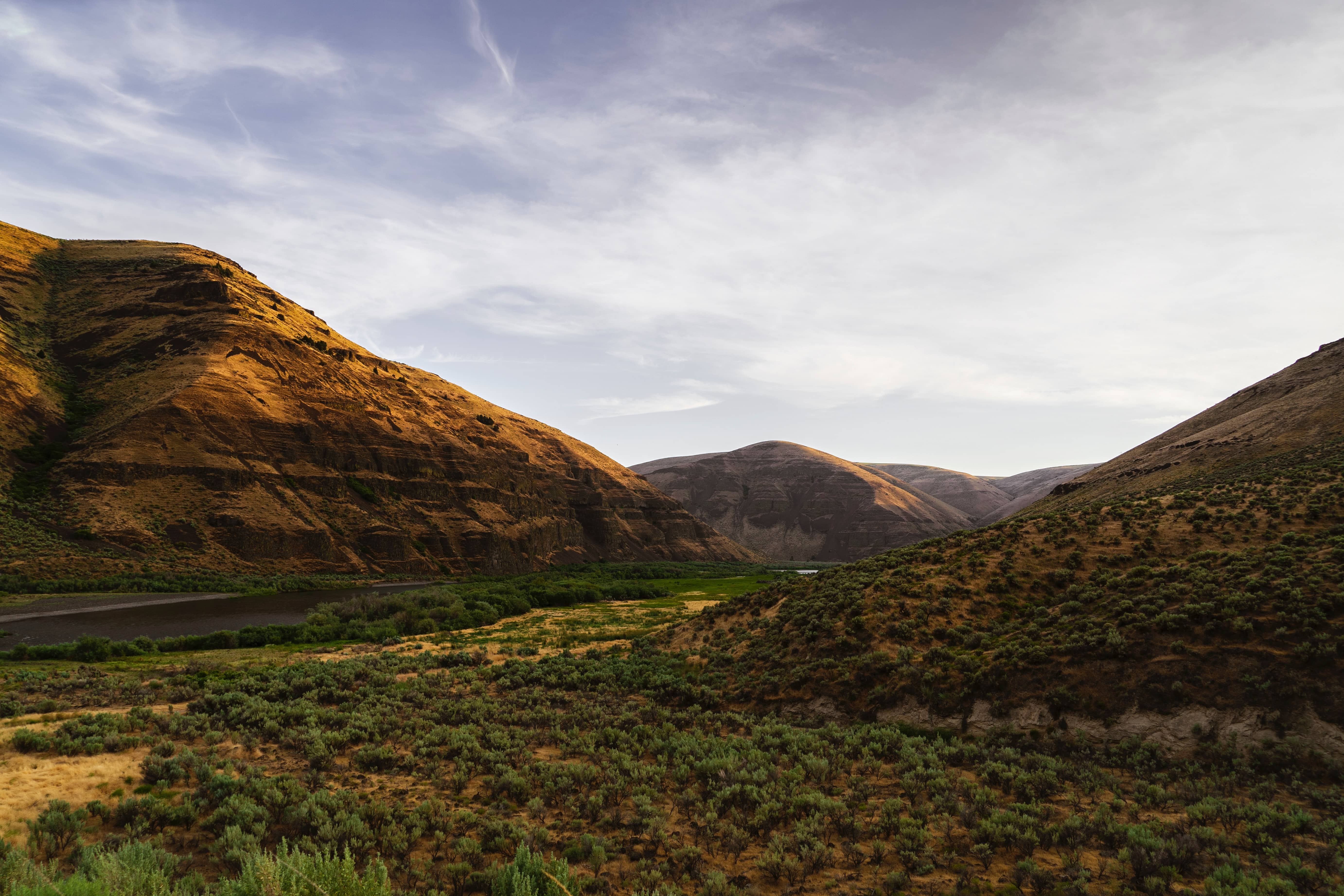 dry hills in the high desert